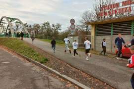 grupy starsze dzieci